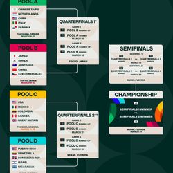 World Baseball Classic Championship 1 Ticket ( Clasico Mundial De Béisbol 1 Entrada Para La Final)