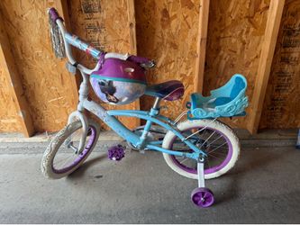 Frozen Bicycle