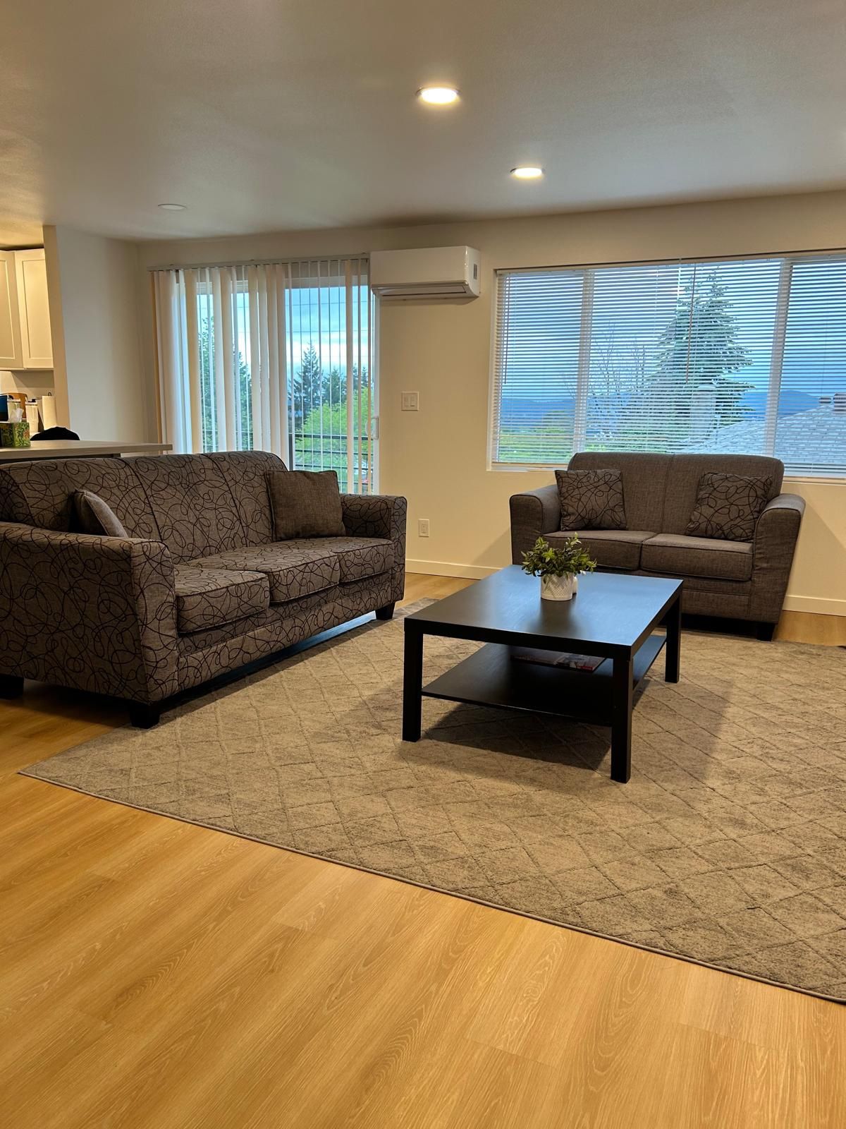 2 Piece Couch Set With Coffee Table And Area Rug