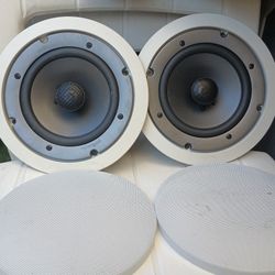 Polk audio Wall Speaker 