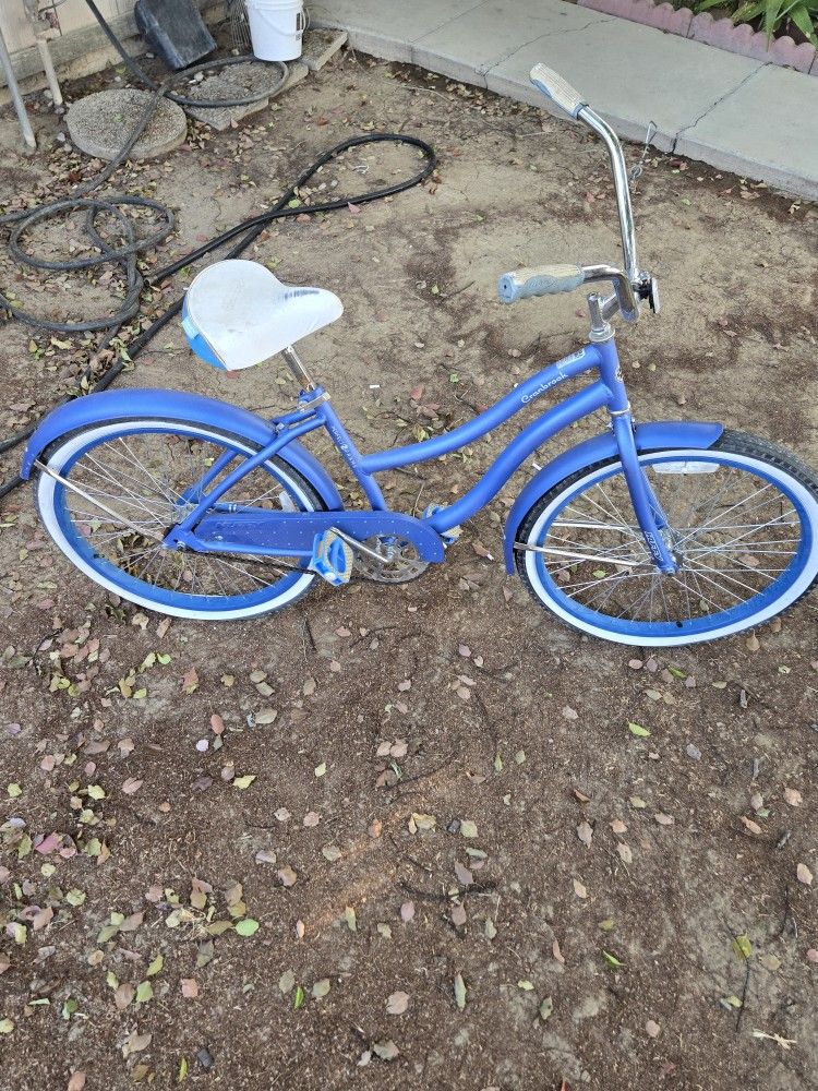 Adult Bike