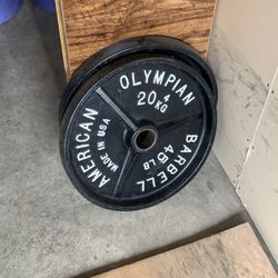 45lb Plates