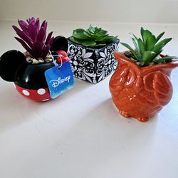 Set of 3 - 3" Miniature Disney Minnie Mouse, Rust Colored Owl, and Black/White Decorative Faux Succulent Terrariums Ceramic Planters. 