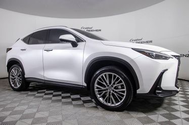 2025 Lexus NX 350