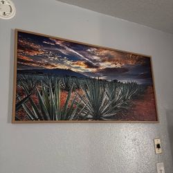 Large Wall Photography 