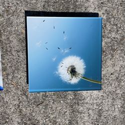 House Decor Art($5 Each Or Full Set For $15)