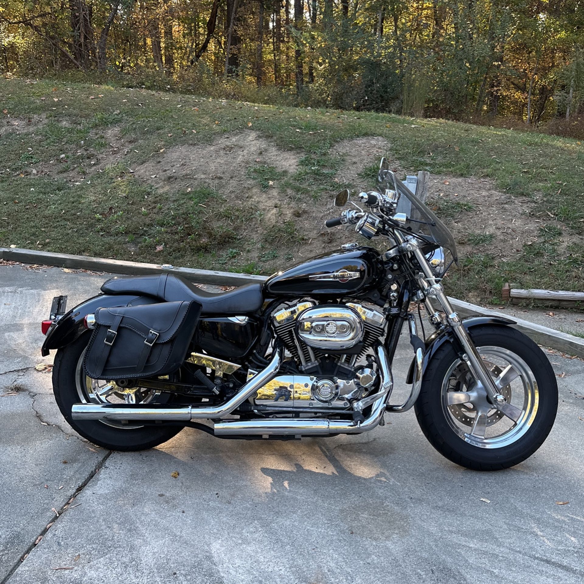 2014 Harley Davidson 1200 -C Sportster