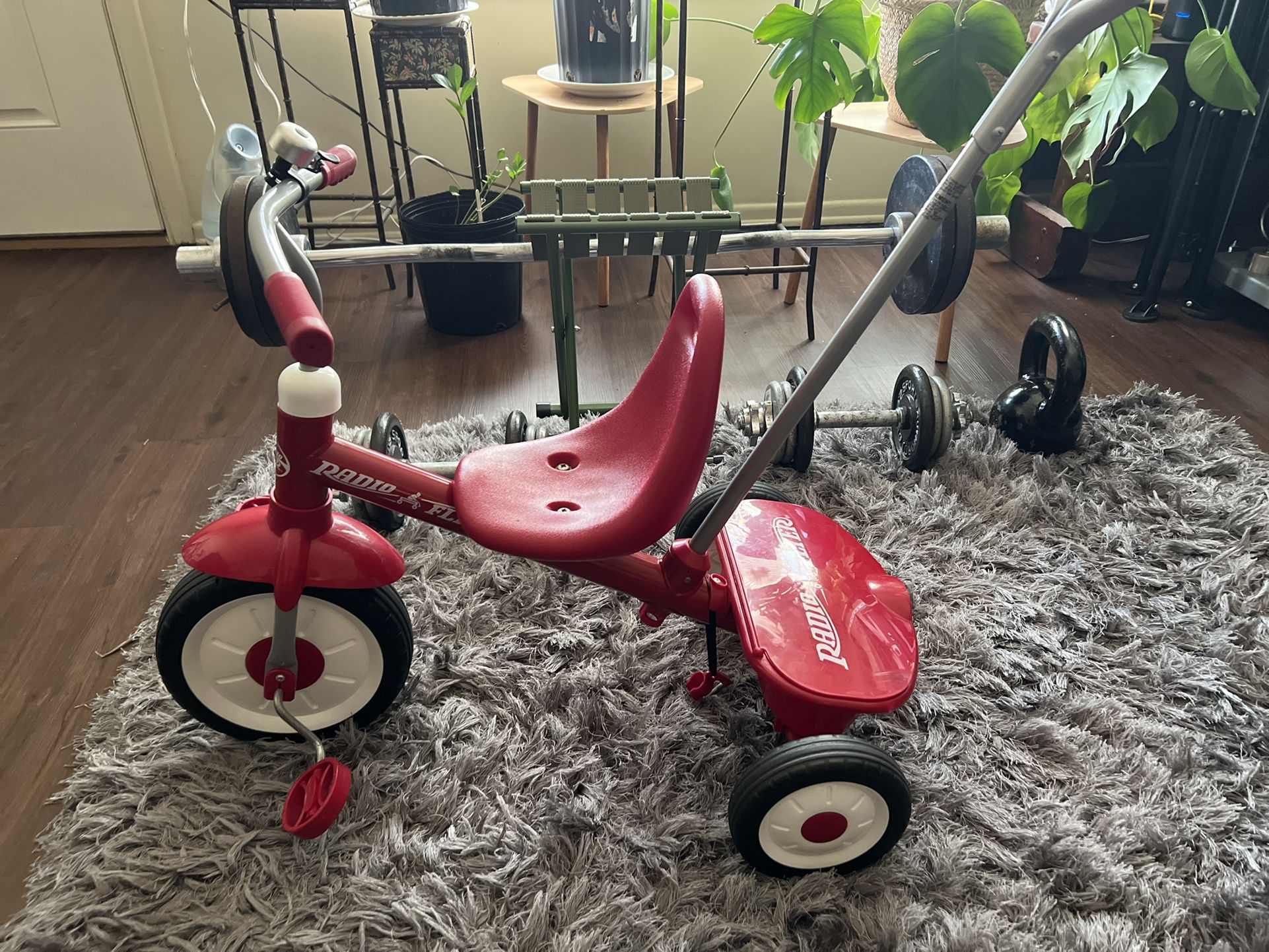 Radio flyer Trike