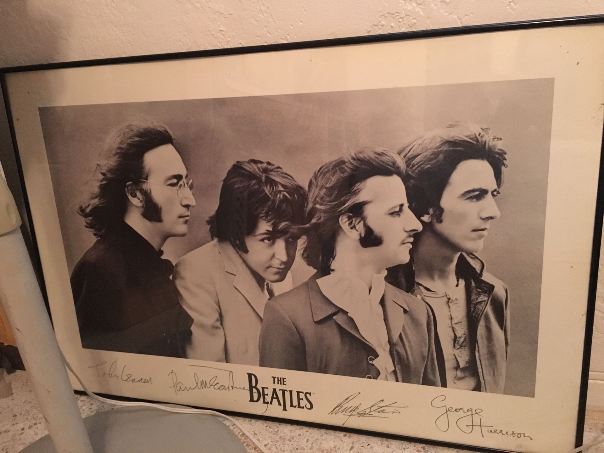 Beetles Framed Art