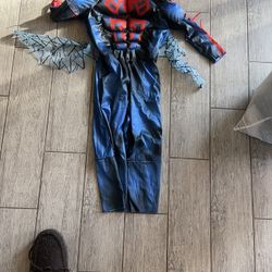 Spiderman Halloween Costume 