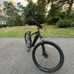 Specialized Electric Bike