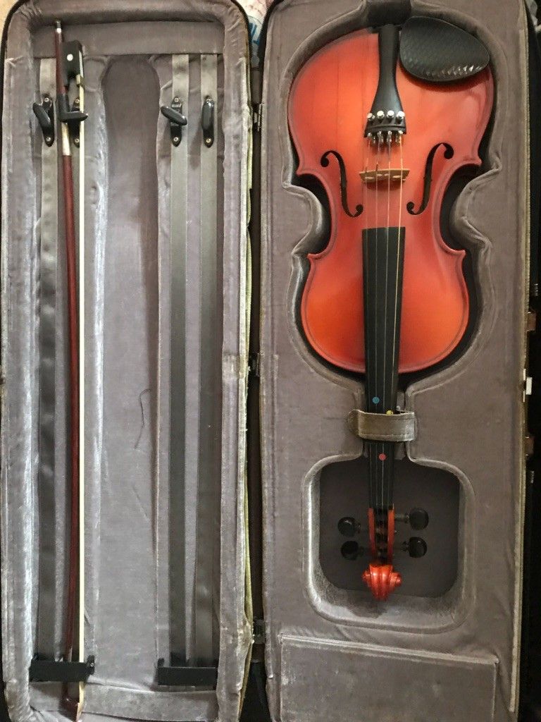 Violin