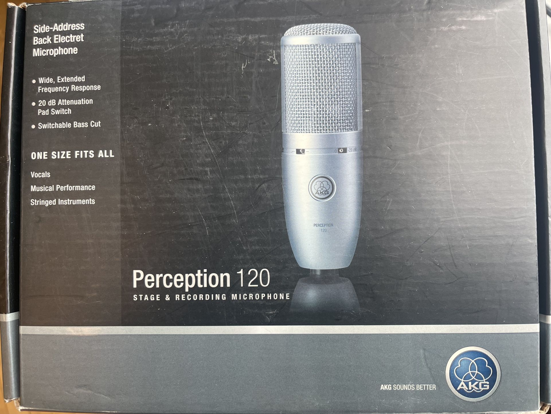AKG Perception Mic (P120)