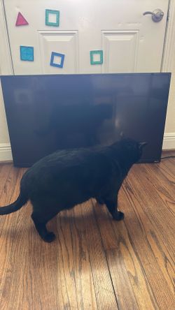 Roku 4k tv