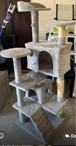 Cat House