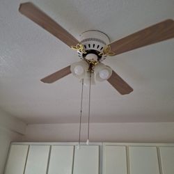 FREE Two Working Ceiling Fans With Lights