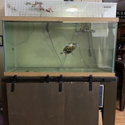 Tank, Tank Stand, Turtle Topper And Everything Needed For Turtles Or Fish