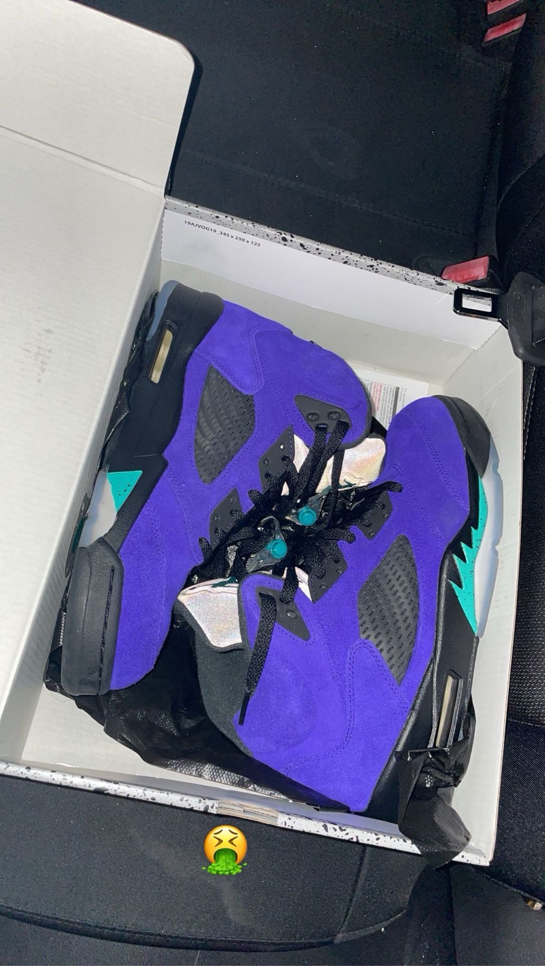 Jordan Grape 5s