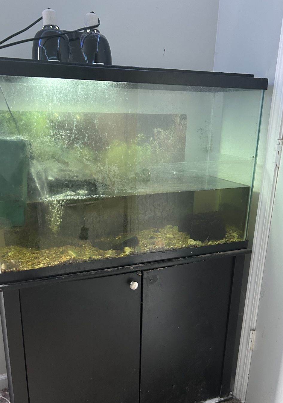 40 Gallon Tank With Stand