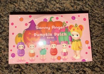 Sonny Angel Pumpkin patch never opened