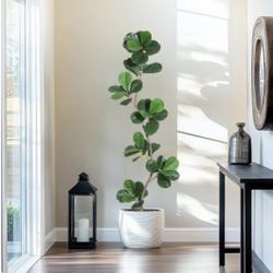 GarveeHome artificial fiddle leaf fig   Tree  6ft