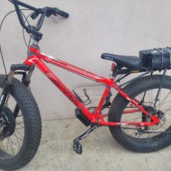 Electric Bike