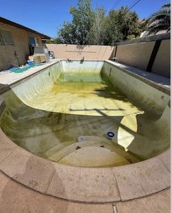 Green algae pool chemicals