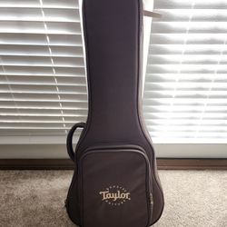 Taylor GS Mini Case Bag