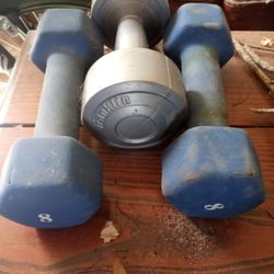 Set Of Neoprene 8 Pound Dumbbells  