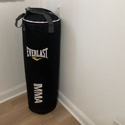 Everlast 70lbs Heavy Bag