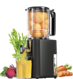 New Juicer, 5.5inch Wide Feed Chute Juicer Machine