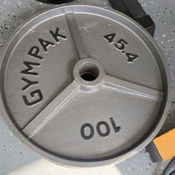 Two 100 Pound Olympic Plates 