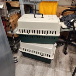 2 Cajas De Perro O Gato $ 60 POR LAS 2 O 30 UNA