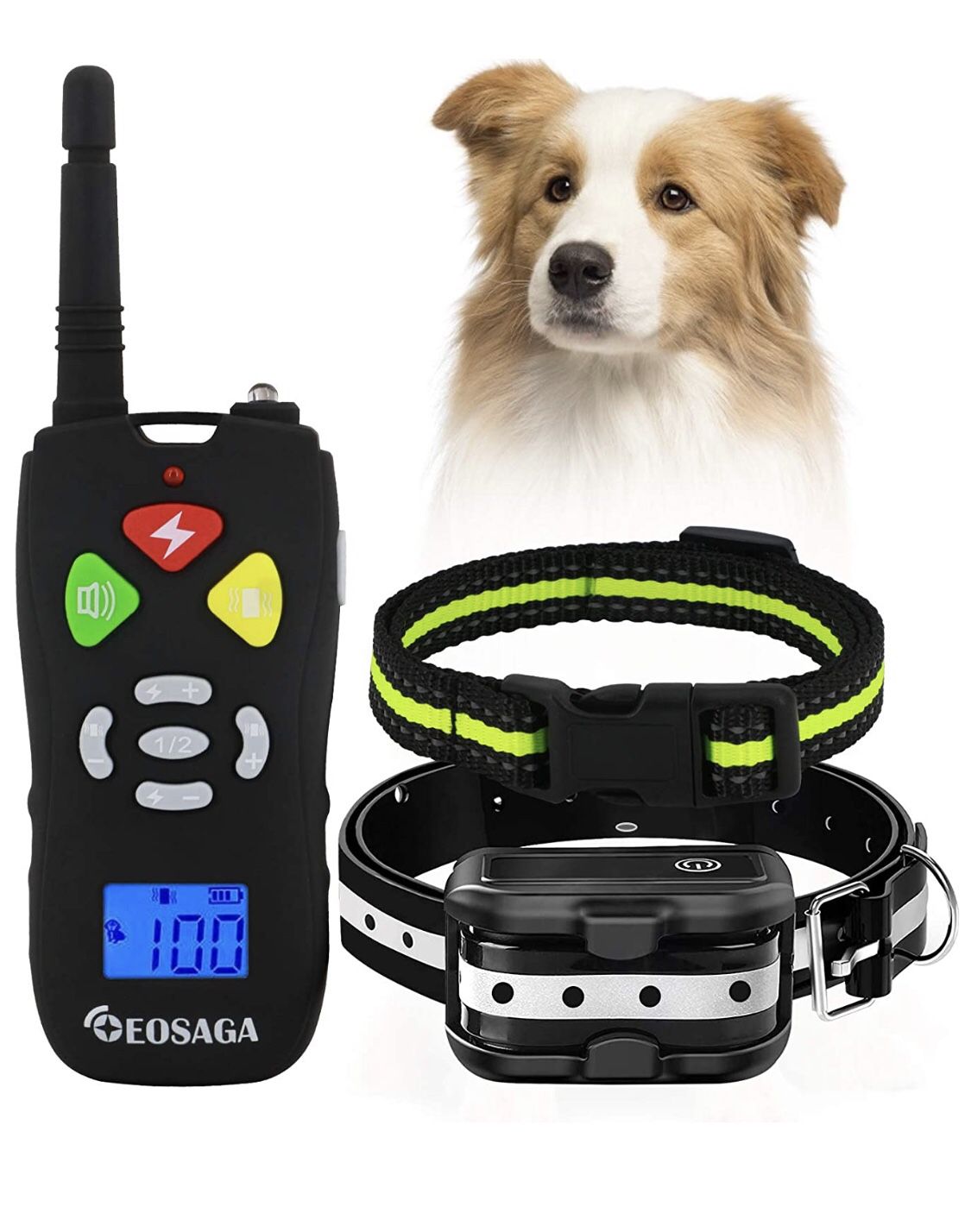 Dog Shock Collar Rechargeable