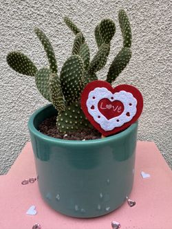 Bunny Ears Valentines Gift 