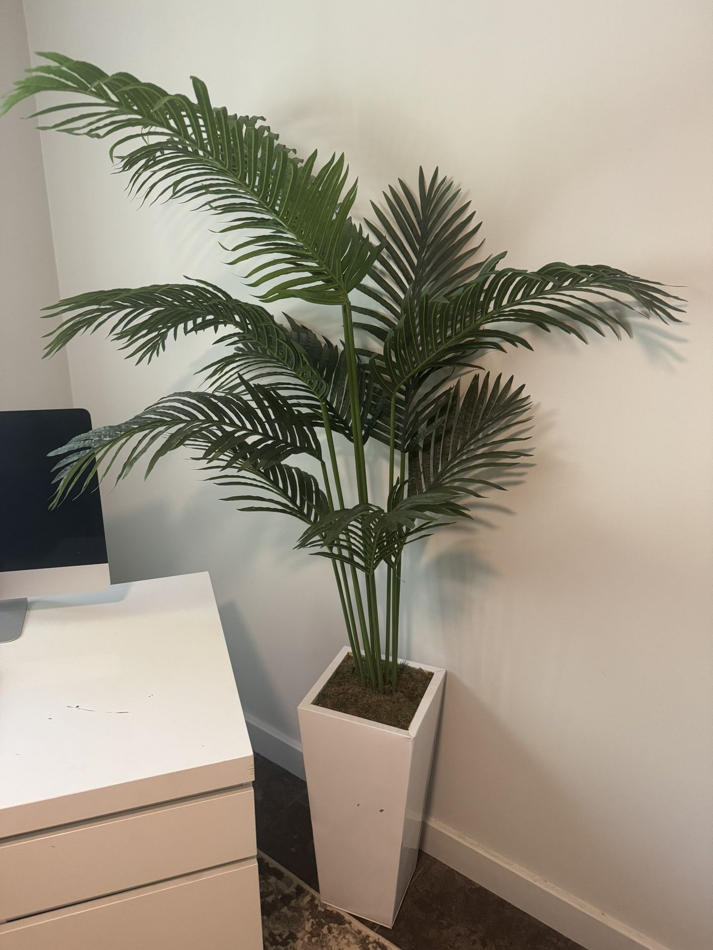 Fake Plants