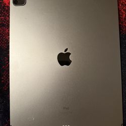 iPad Pro 12.9  WiFi + Cellular 