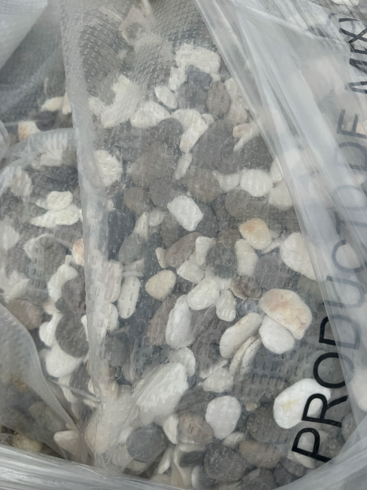 Beach Pebbles And Sea Shells Mix