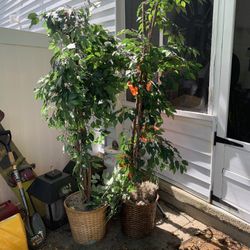 6’ Tall Fake Plant Tree
