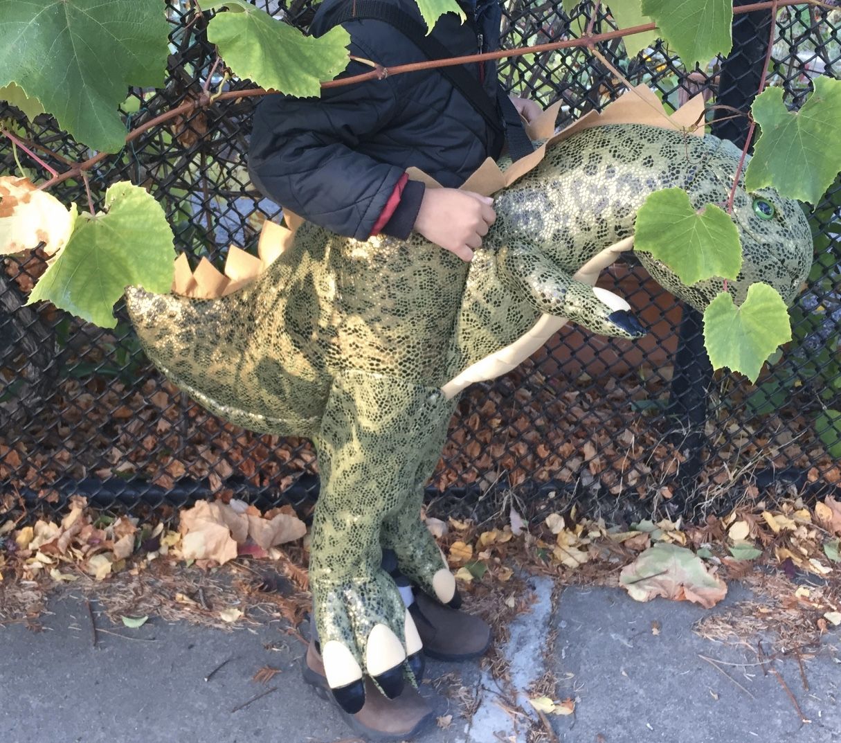 Dinosaur Rider Costume 4-6 yr