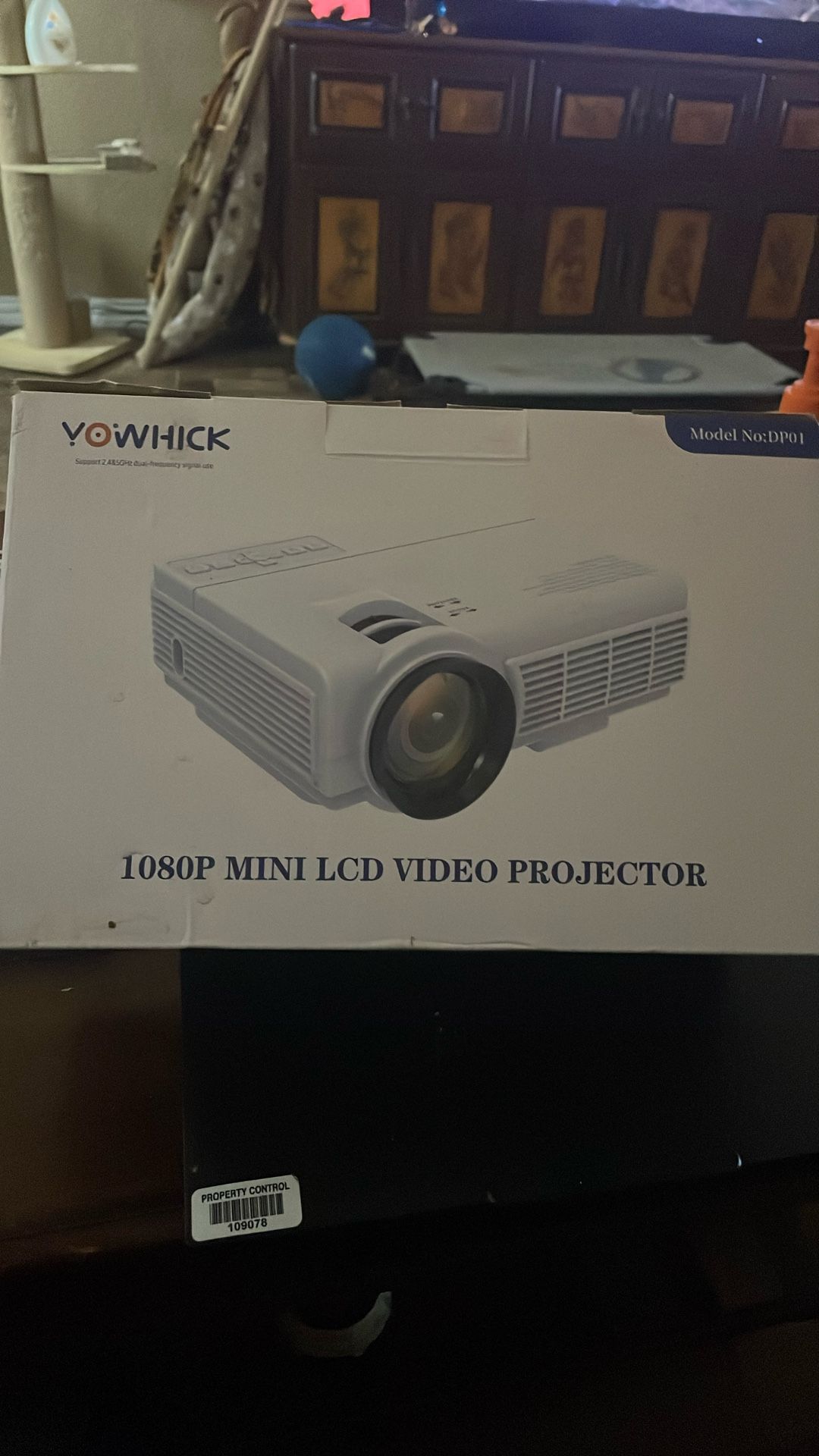 Video Projector