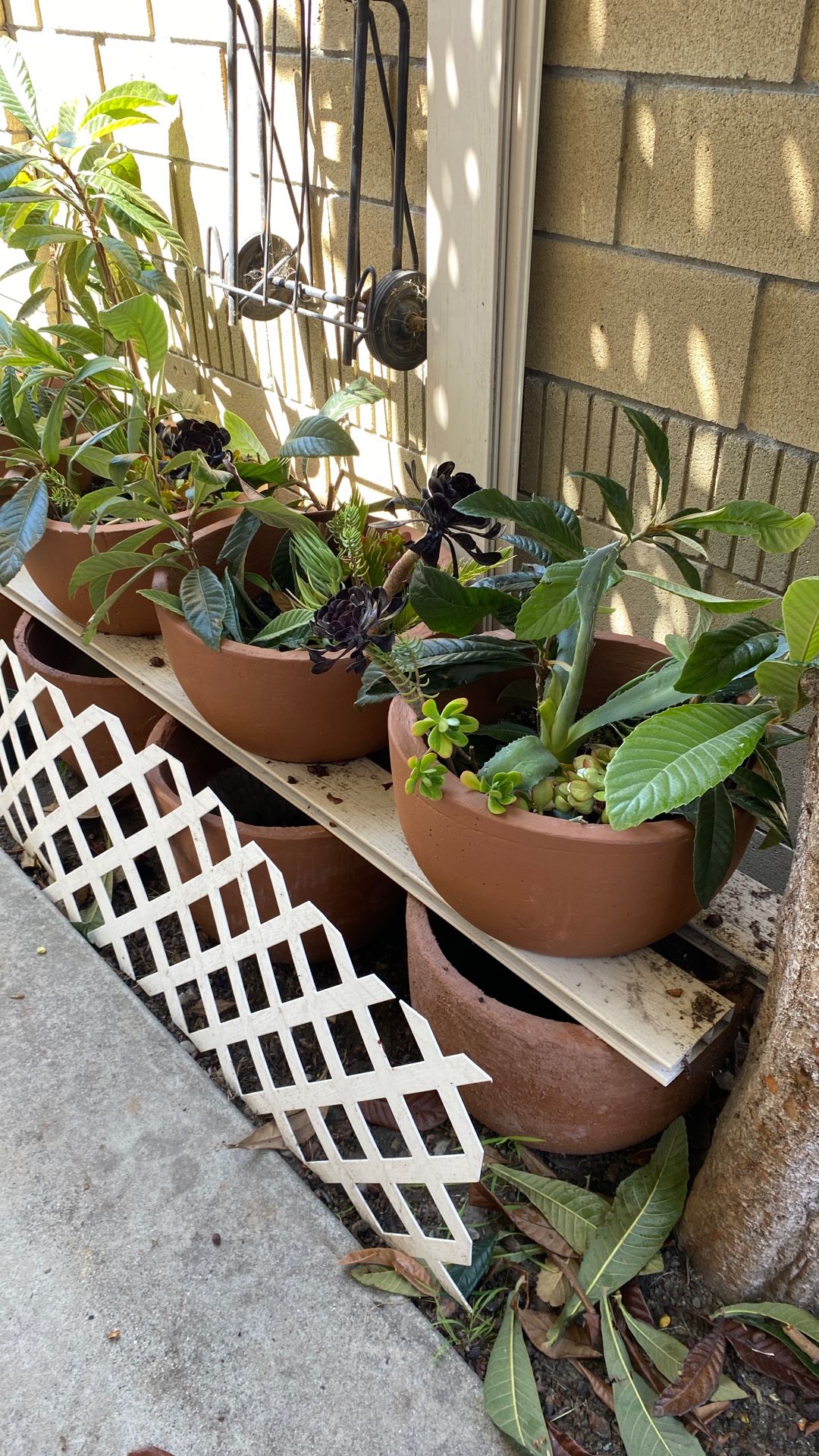 Concrete Flower Pots 14” Tall 19” Wide