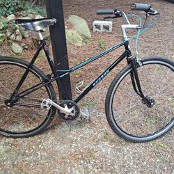 Shogun 300 City Bike 