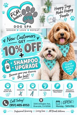 Pet salon