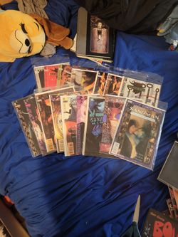 The Sandman Comic Lot W/2  Books