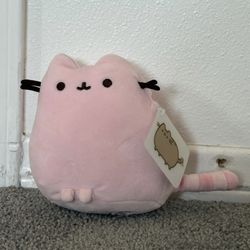 Pink Pusheen Plushie