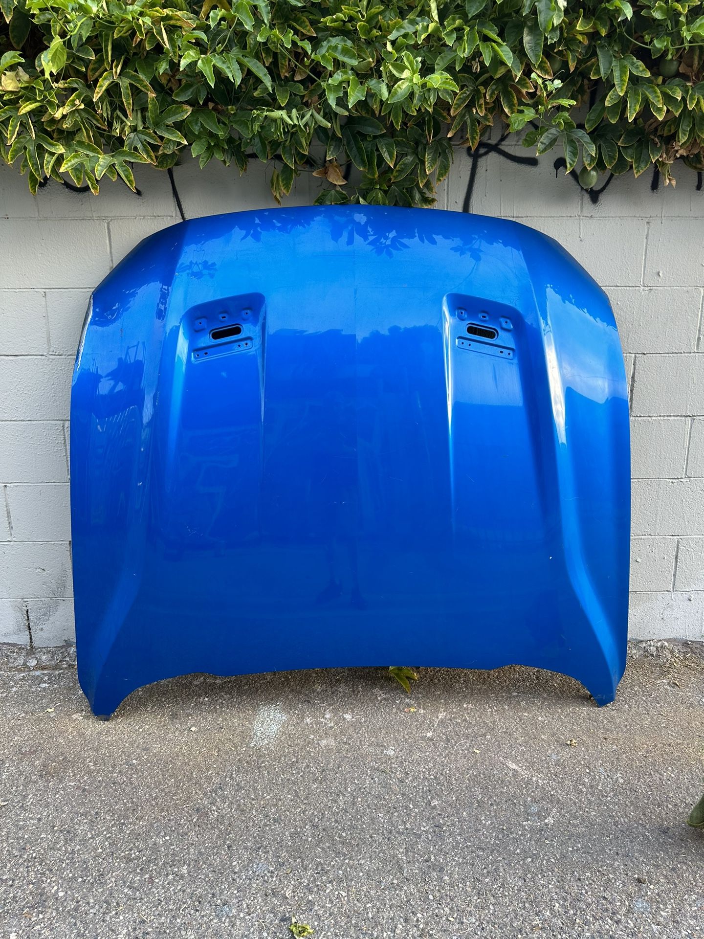 Ford Mustang Gt Ford Mustang Hood Original Used 2018/2019/2020/2021/2022/2023/.