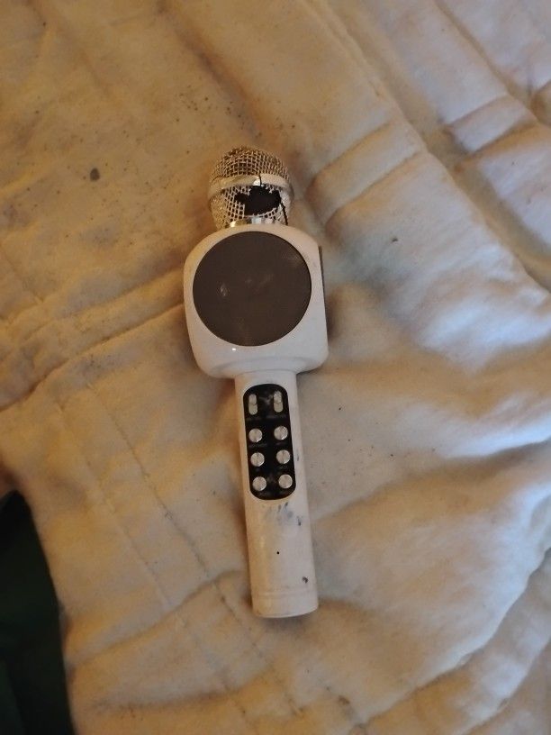 Karaoke Microphone