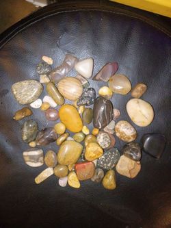Quartz, petrifide wood,and spotted jasper . Much more.
