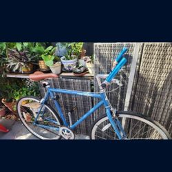 Bike Rim 26 